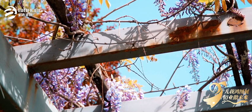 尊龙z6·官网9周年系列预热广告 《家庭日篇》