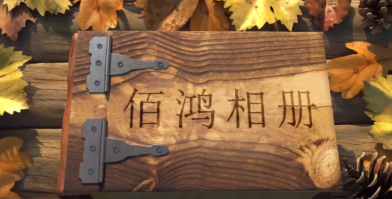 九年，从破土而出到硕果累累，从深耕再生医学，到拥有多项技术专利，从术业专攻，到涉猎三大领域九年，时间长河里的沧海一粟对于我们却是3千多日日夜夜未来，我们有更多鸿图…